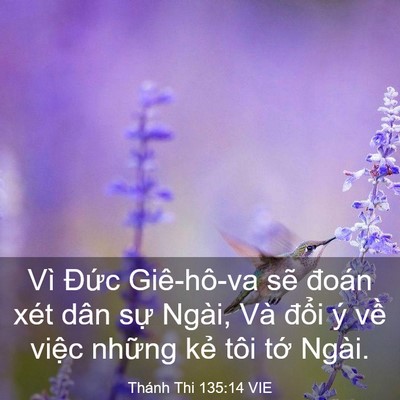 Picture 03 - Thánh Thi 135:14 VIE - Vì Đức Giê-hô-va sẽ đoán xét dân sự - Bible Verse Picture