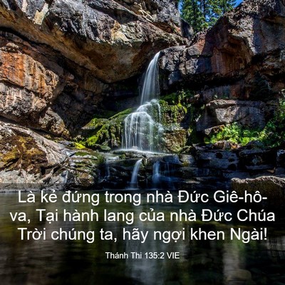 Picture 03 - Thánh Thi 135:2 VIE - Là kẻ đứng trong nhà Đức Giê-hô-va, - Bible Verse Picture