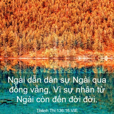 Picture 03 - Thánh Thi 136:16 VIE - Ngài dẫn dân sự Ngài qua đồng vắng, - Bible Verse Picture