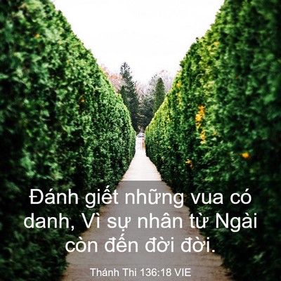 Picture 03 - Thánh Thi 136:18 VIE - Đánh giết những vua có danh, Vì sự - Bible Verse Picture