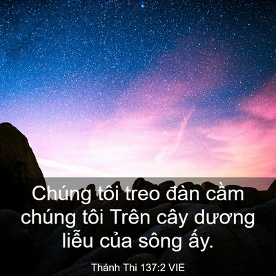 Picture 03 - Thánh Thi 137:2 VIE - Chúng tôi treo đàn cầm chúng tôi Trên - Bible Verse Picture
