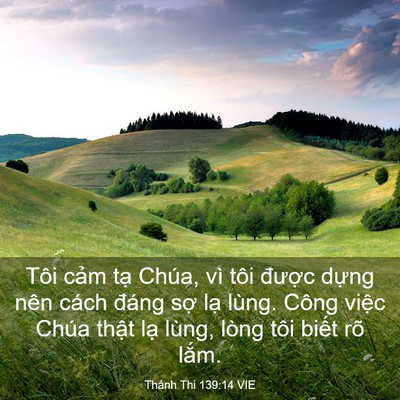 Picture 03 - Thánh Thi 139:14 VIE - Tôi cảm tạ Chúa, vì tôi được dựng - Bible Verse Picture
