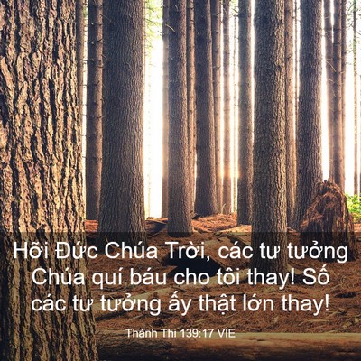 Picture 03 - Thánh Thi 139:17 VIE - Hỡi Đức Chúa Trời, các tư tưởng - Bible Verse Picture
