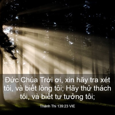Picture 03 - Thánh Thi 139:23 VIE - Đức Chúa Trời ơi, xin hãy tra xét tôi, - Bible Verse Picture