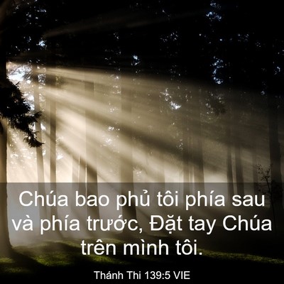 Picture 03 - Thánh Thi 139:5 VIE - Chúa bao phủ tôi phía sau và phía - Bible Verse Picture
