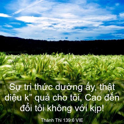 Picture 03 - Thánh Thi 139:6 VIE - Sự tri thức dường ấy, thật diệu k” - Bible Verse Picture