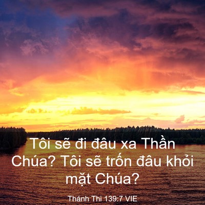 Picture 03 - Thánh Thi 139:7 VIE - Tôi sẽ đi đâu xa Thần Chúa? Tôi sẽ - Bible Verse Picture
