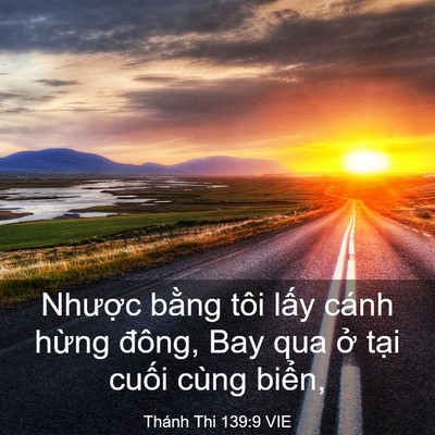 Picture 03 - Thánh Thi 139:9 VIE - Nhược bằng tôi lấy cánh hừng đông, - Bible Verse Picture