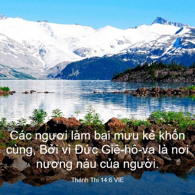 Picture 03 - Thánh Thi 14:6 VIE - Các ngươi làm bại mưu kẻ khốn cùng, - Bible Verse Picture
