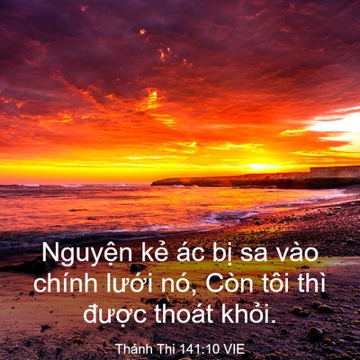 Picture 03 - Thánh Thi 141:10 VIE - Nguyện kẻ ác bị sa vào chính lưới - Bible Verse Picture