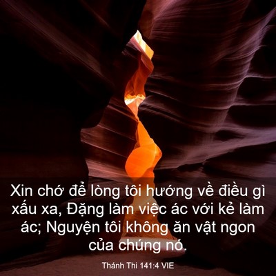 Picture 03 - Thánh Thi 141:4 VIE - Xin chớ để lòng tôi hướng về điều - Bible Verse Picture