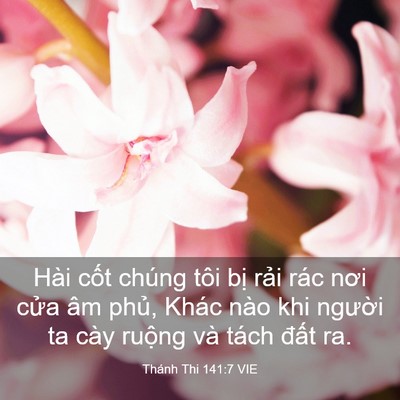 Picture 03 - Thánh Thi 141:7 VIE - Hài cốt chúng tôi bị rải rác nơi cửa - Bible Verse Picture