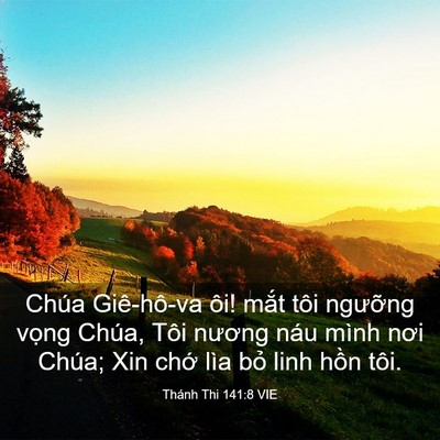 Picture 03 - Thánh Thi 141:8 VIE - Chúa Giê-hô-va ôi! mắt tôi ngưỡng - Bible Verse Picture