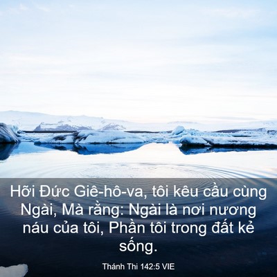 Picture 03 - Thánh Thi 142:5 VIE - Hỡi Đức Giê-hô-va, tôi kêu cầu cùng - Bible Verse Picture