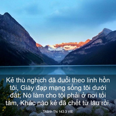 Picture 03 - Thánh Thi 143:3 VIE - Kẻ thù nghịch đã đuổi theo linh hồn - Bible Verse Picture