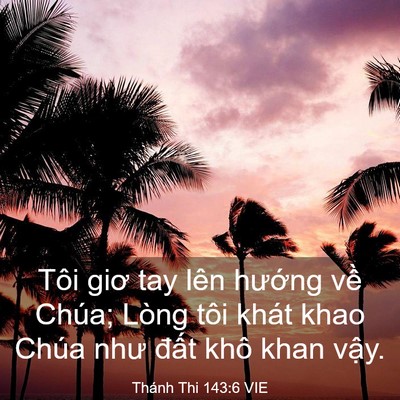 Picture 03 - Thánh Thi 143:6 VIE - Tôi giơ tay lên hướng về Chúa; Lòng - Bible Verse Picture