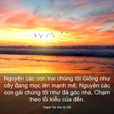 Picture 03 - Thánh Thi 144:12 VIE - Nguyện các con trai chúng tôi Giống như - Bible Verse Picture