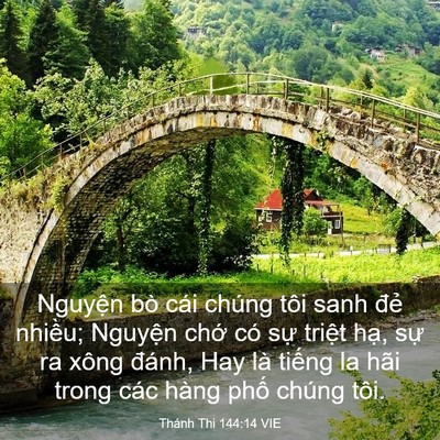 Picture 03 - Thánh Thi 144:14 VIE - Nguyện bò cái chúng tôi sanh đẻ nhiều; - Bible Verse Picture