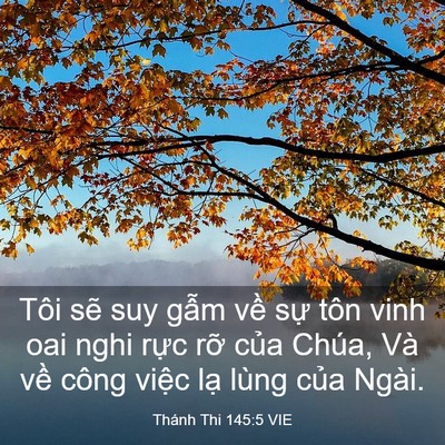 Picture 03 - Thánh Thi 145:5 VIE - Tôi sẽ suy gẫm về sự tôn vinh oai nghi - Bible Verse Picture