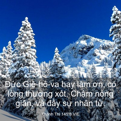 Picture 03 - Thánh Thi 145:8 VIE - Đức Giê-hô-va hay làm ơn, có lòng - Bible Verse Picture