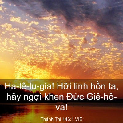 Picture 03 - Thánh Thi 146:1 VIE - Ha-lê-lu-gia! Hỡi linh hồn ta, hãy ngợi - Bible Verse Picture