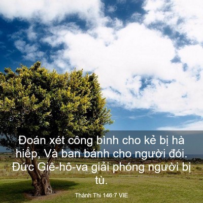 Picture 03 - Thánh Thi 146:7 VIE - Đoán xét công bình cho kẻ bị hà hiếp, - Bible Verse Picture