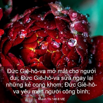 Picture 03 - Thánh Thi 146:8 VIE - Đức Giê-hô-va mở mắt cho người đui; - Bible Verse Picture