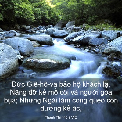 Picture 03 - Thánh Thi 146:9 VIE - Đức Giê-hô-va bảo hộ khách lạ, Nâng - Bible Verse Picture