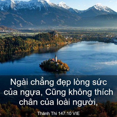 Picture 03 - Thánh Thi 147:10 VIE - Ngài chẳng đẹp lòng sức của ngựa, - Bible Verse Picture