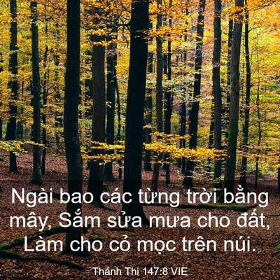 Picture 03 - Thánh Thi 147:8 VIE - Ngài bao các từng trời bằng mây, Sắm - Bible Verse Picture