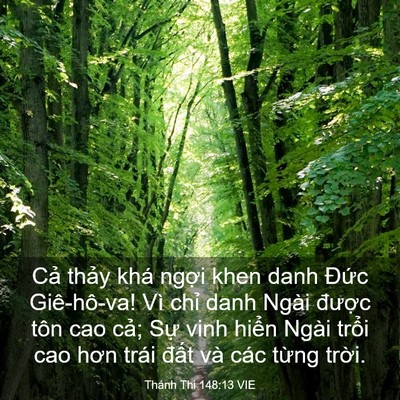 Picture 03 - Thánh Thi 148:13 VIE - Cả thảy khá ngợi khen danh Đức - Bible Verse Picture