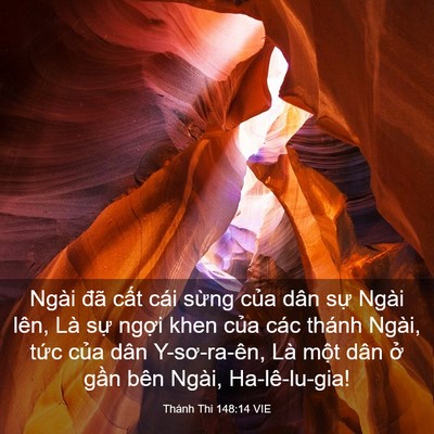 Picture 03 - Thánh Thi 148:14 VIE - Ngài đã cất cái sừng của dân sự - Bible Verse Picture