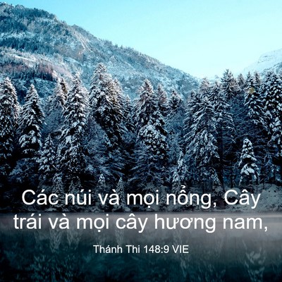 Picture 03 - Thánh Thi 148:9 VIE - Các núi và mọi nổng, Cây trái và mọi - Bible Verse Picture