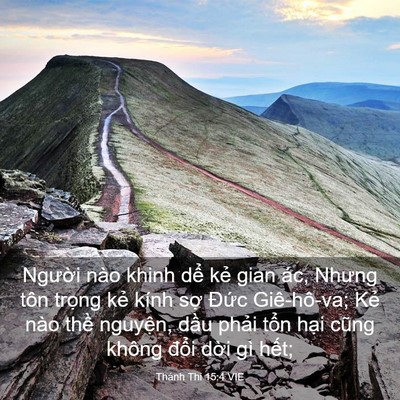 Picture 03 - Thánh Thi 15:4 VIE - Người nào khinh dể kẻ gian ác, Nhưng - Bible Verse Picture