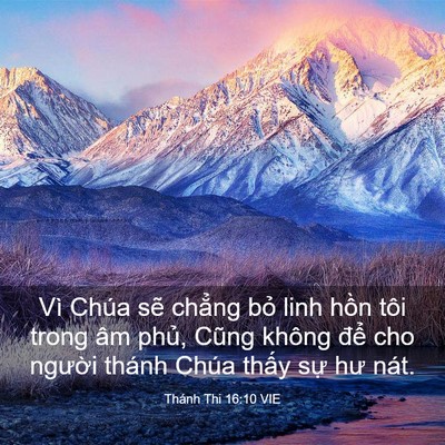 Picture 03 - Thánh Thi 16:10 VIE - Vì Chúa sẽ chẳng bỏ linh hồn tôi trong - Bible Verse Picture