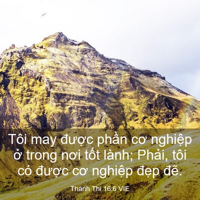 Picture 03 - Thánh Thi 16:6 VIE - Tôi may được phần cơ nghiệp ở trong - Bible Verse Picture