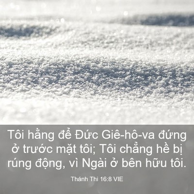 Picture 03 - Thánh Thi 16:8 VIE - Tôi hằng để Đức Giê-hô-va đứng ở - Bible Verse Picture