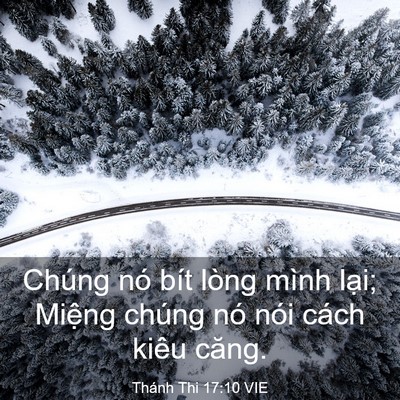 Picture 03 - Thánh Thi 17:10 VIE - Chúng nó bít lòng mình lại; Miệng chúng - Bible Verse Picture