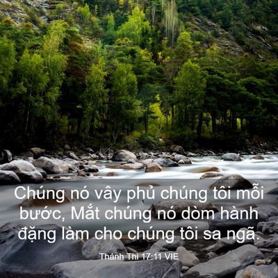 Picture 03 - Thánh Thi 17:11 VIE - Chúng nó vây phủ chúng tôi mỗi bước, - Bible Verse Picture