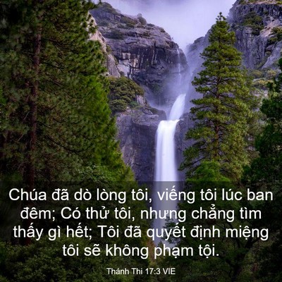 Picture 03 - Thánh Thi 17:3 VIE - Chúa đã dò lòng tôi, viếng tôi lúc ban - Bible Verse Picture