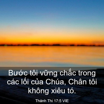 Picture 03 - Thánh Thi 17:5 VIE - Bước tôi vững chắc trong các lối của - Bible Verse Picture