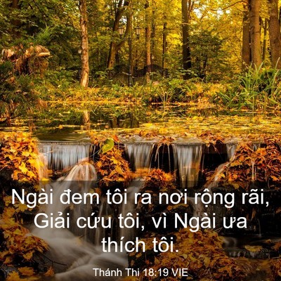 Picture 03 - Thánh Thi 18:19 VIE - Ngài đem tôi ra nơi rộng rãi, Giải cứu - Bible Verse Picture