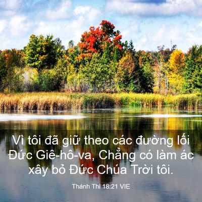 Picture 03 - Thánh Thi 18:21 VIE - Vì tôi đã giữ theo các đường lối - Bible Verse Picture