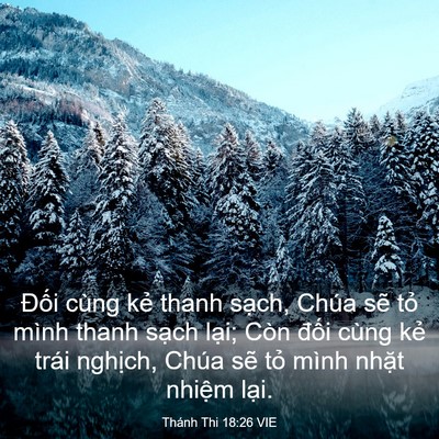 Picture 03 - Thánh Thi 18:26 VIE - Đối cùng kẻ thanh sạch, Chúa sẽ tỏ - Bible Verse Picture