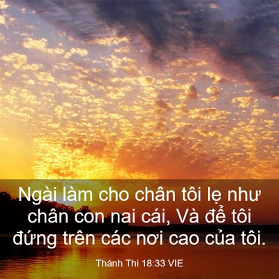 Picture 03 - Thánh Thi 18:33 VIE - Ngài làm cho chân tôi lẹ như chân con nai - Bible Verse Picture