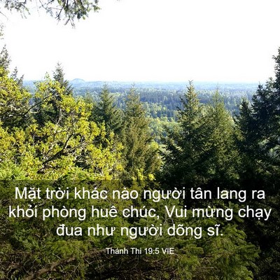 Picture 03 - Thánh Thi 19:5 VIE - Mặt trời khác nào người tân lang ra - Bible Verse Picture