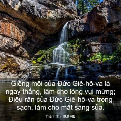 Picture 03 - Thánh Thi 19:8 VIE - Giềng mối của Đức Giê-hô-va là ngay - Bible Verse Picture