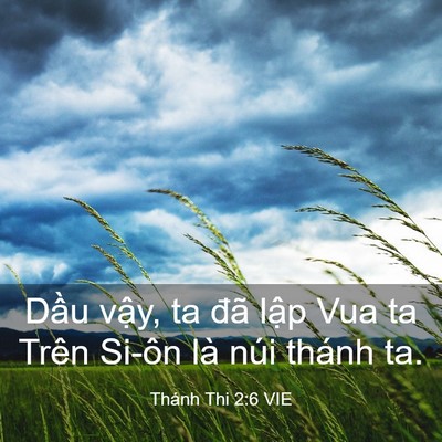 Picture 03 - Thánh Thi 2:6 VIE - Dầu vậy, ta đã lập Vua ta Trên Si-ôn - Bible Verse Picture