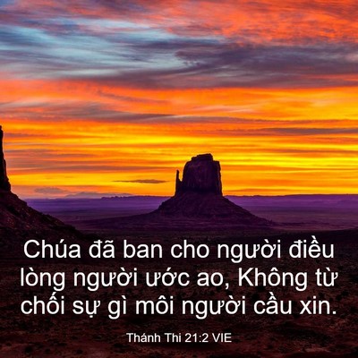Picture 03 - Thánh Thi 21:2 VIE - Chúa đã ban cho người điều lòng - Bible Verse Picture