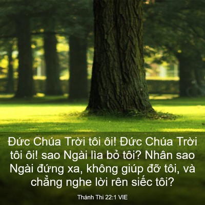 Picture 03 - Thánh Thi 22:1 VIE - Đức Chúa Trời tôi ôi! Đức Chúa Trời - Bible Verse Picture